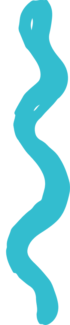 Flowing Abstract Turquoise Ribbon on Transparent Background
