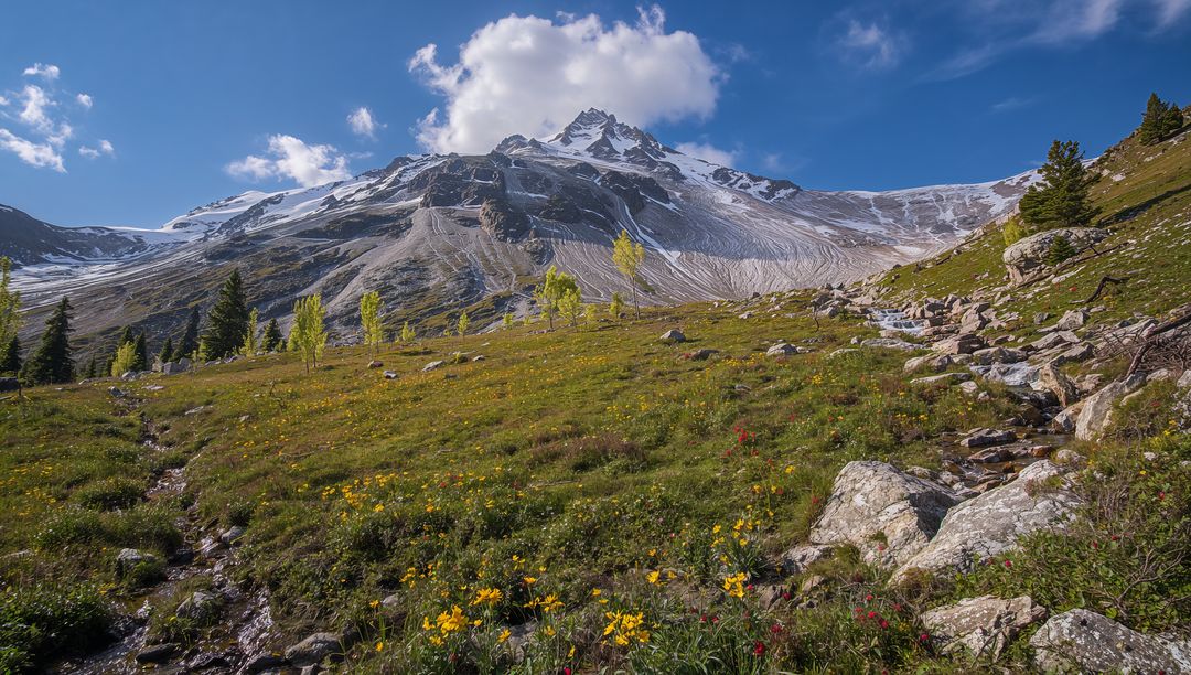 Jagged Mountain Peak Rising Above Wildflower Alpine Meadow with Rocky Stream and Aspens