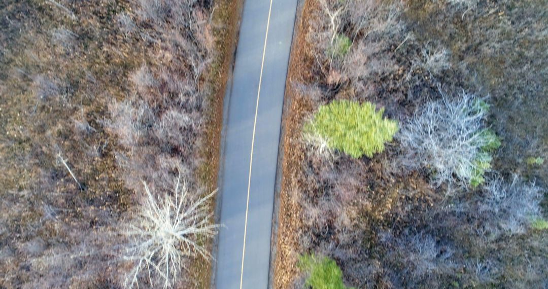 Aerial View of Empty Road Through Rocky Terrain - Free Images, Stock Photos and Pictures on Pikwizard.com