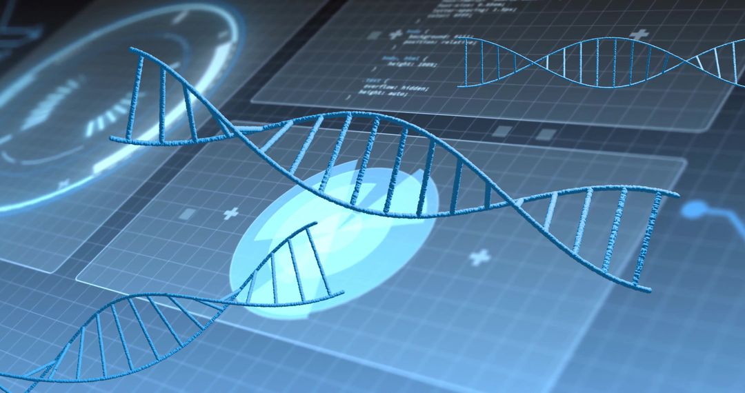 Dna analysis interface with digital blueprints and bioinformatics data