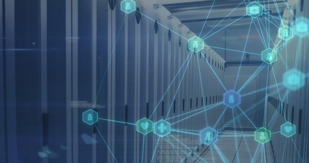Digital Networks Overlay on Data Center Servers
