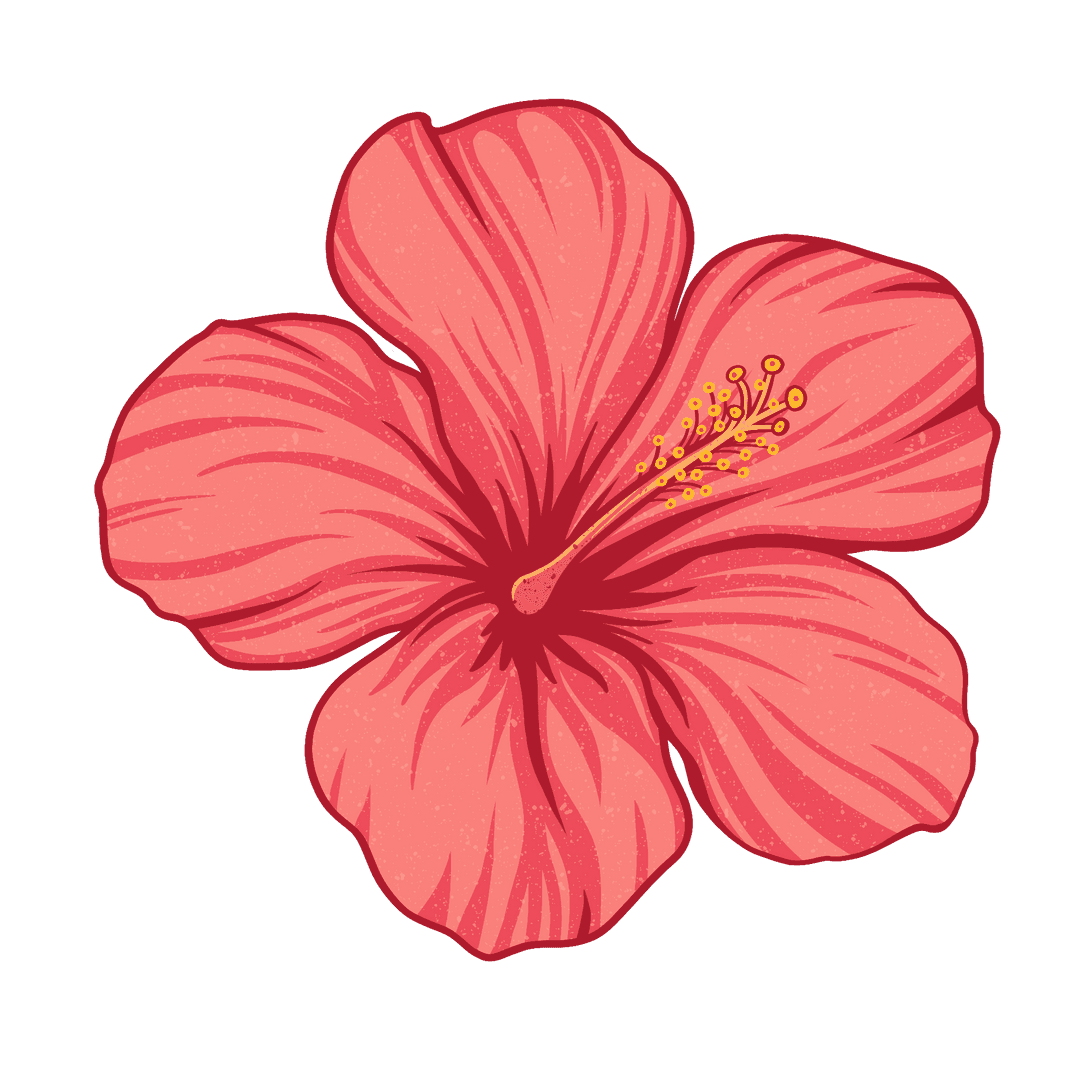 Detailed Transparent Hibiscus Flower with Fine Vein Patterns