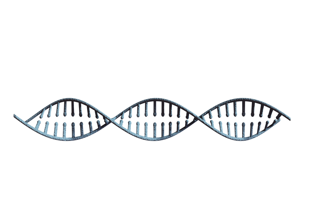 Transparent DNA Strand Illustration for Molecular Biology Concepts - Download Free Stock Images Pikwizard.com