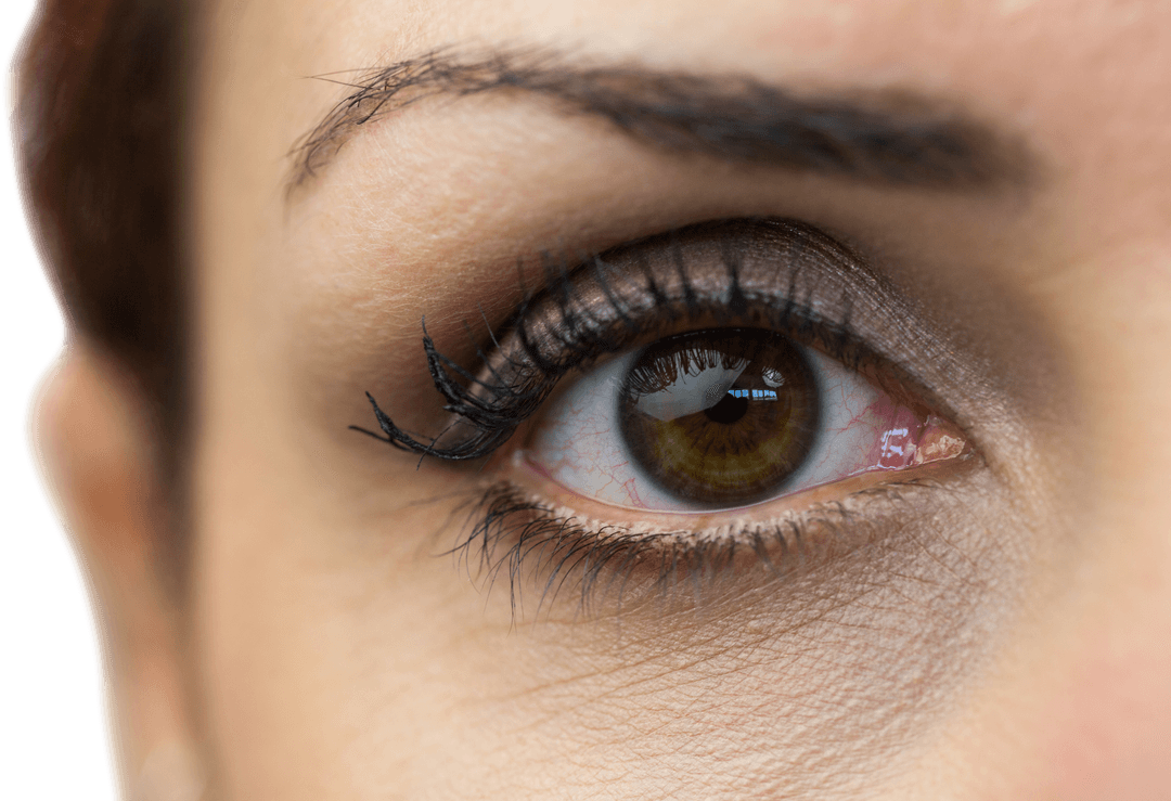 Transparent Close-up Study of Woman's Eye with Natural Makeup