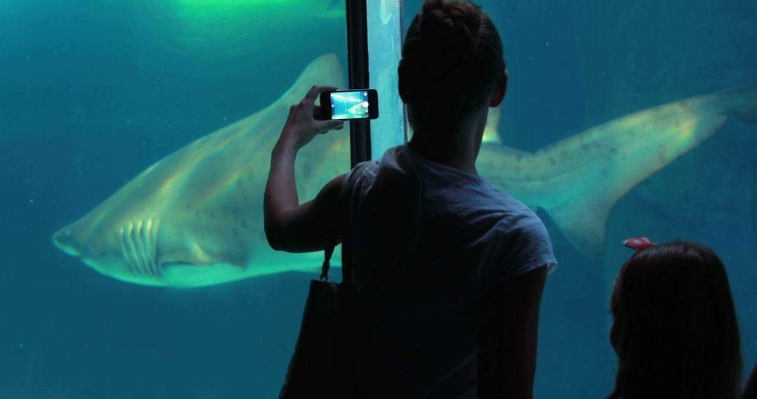 A young person captures a photo of a large shark swimming in an aquarium, with copy space - Free Images, Stock Photos and Pictures on Pikwizard.com