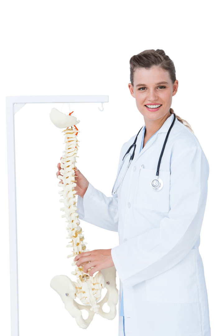 Smiling Doctor Holding Anatomical Spine on Transparent Background