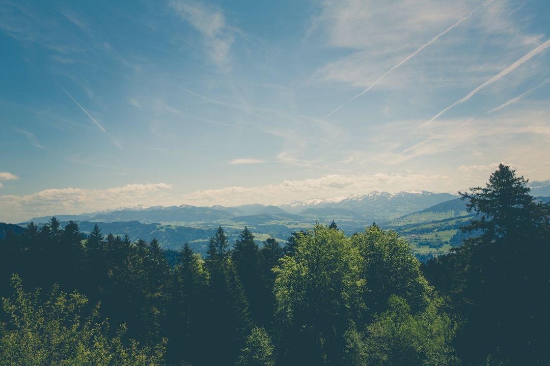 Scenic Mountain Range with Green Forest and Blue Sky - Free Images, Stock Photos and Pictures on Pikwizard.com