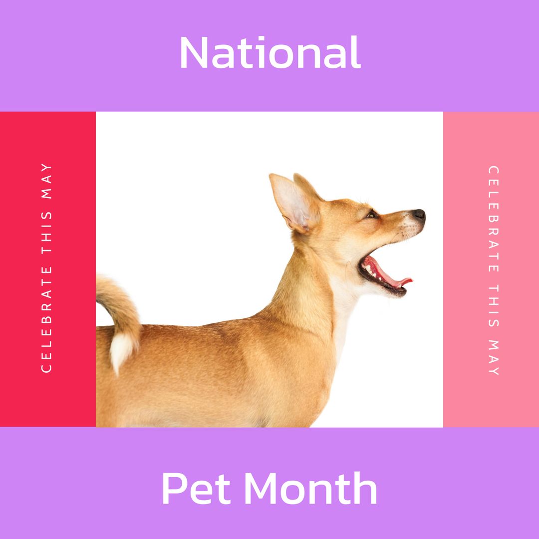 Celebrate National Pet Month in May with Adorable Puppy - Download Free Stock Templates Pikwizard.com