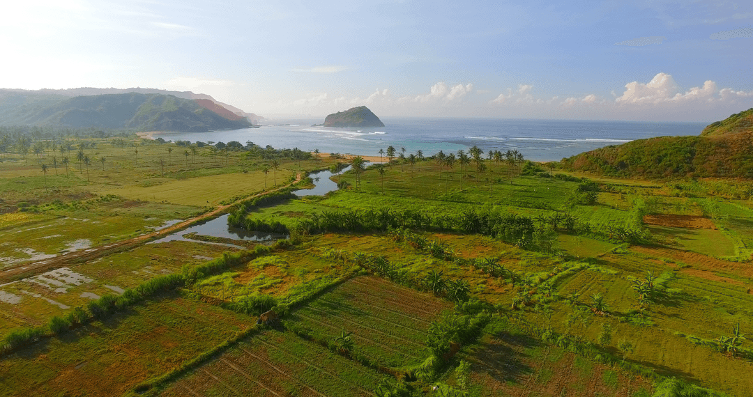Transparent Coastal Fields with Island Horizon Under Cloudy Sky