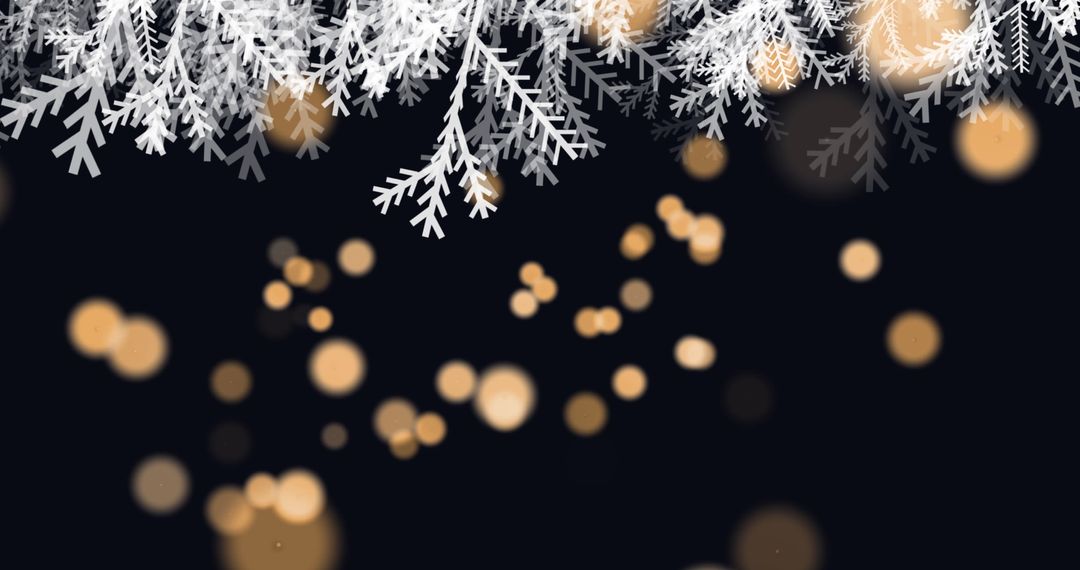 Festive White Fir Branches with Glowing Lights on Black Background