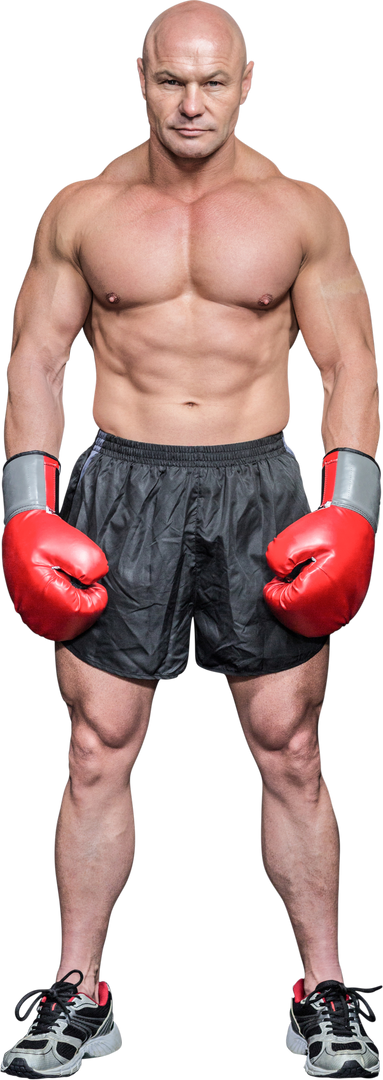 Transparent Image of Muscular Boxer Posed with Red Gloves - Download Free Stock Images Pikwizard.com