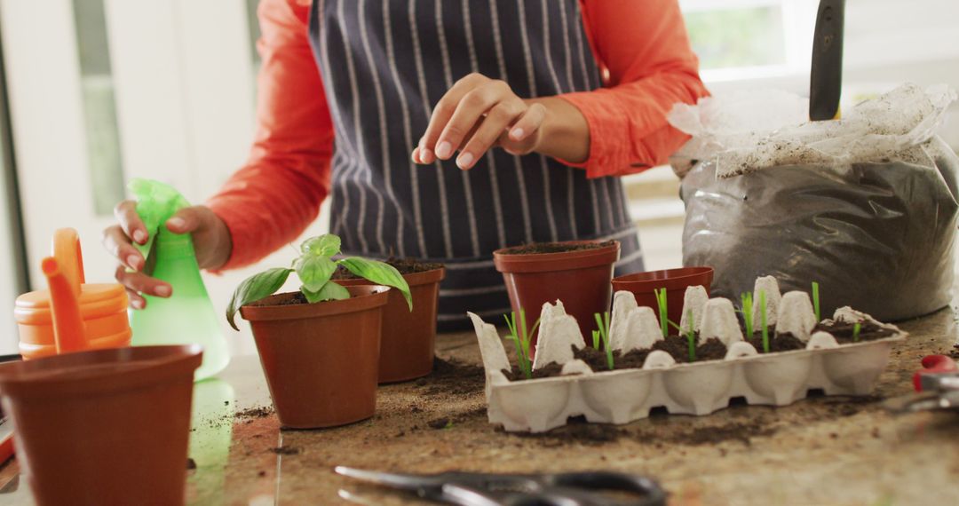 Image of midsection of biracial woman planting houseplants - Free Images, Stock Photos and Pictures on Pikwizard.com