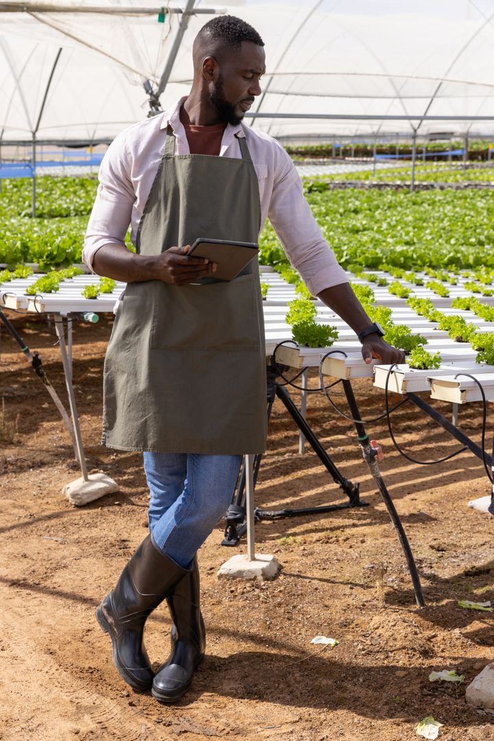 Modern Greenhouse Management: Man Monitoring Crops on Tablet