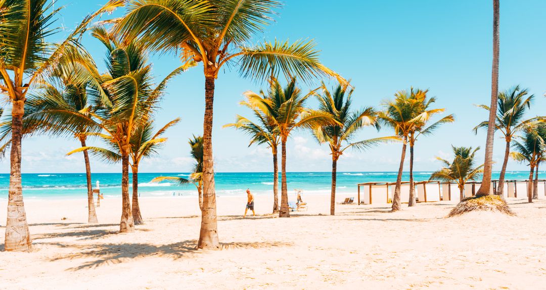 Tropical Beach with Palm Trees and Clear Blue Sky