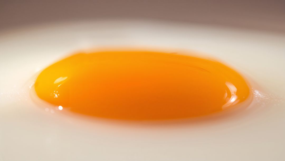Glossy egg yolk resting on smooth white surface macro closeup with golden highlights