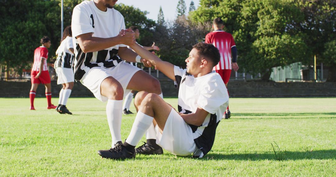 Soccer Player Helping Teammate Get Up During Match on Green Field - Free Images, Stock Photos and Pictures on Pikwizard.com