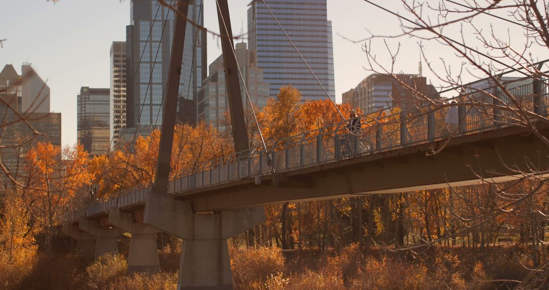 Suspension Bridge in Autumn with City Skyline Background - Free Images, Stock Photos and Pictures on Pikwizard.com