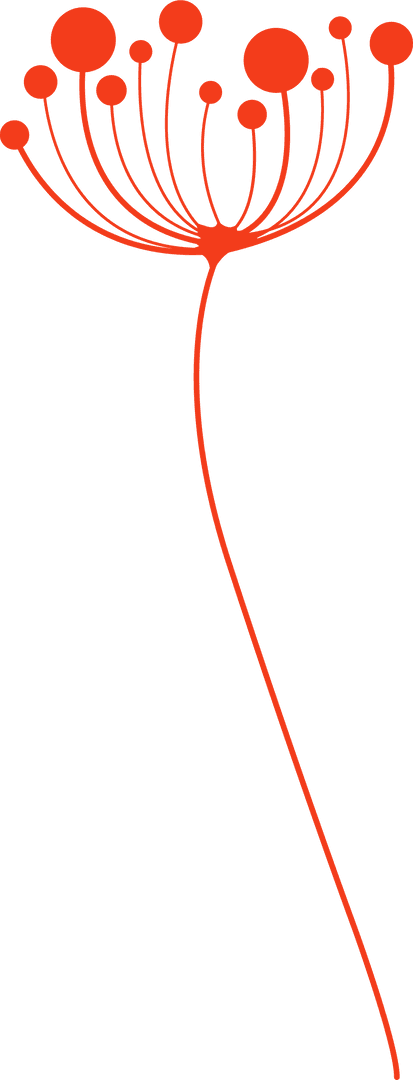 Modern Minimalist Red Seed Head Illustration with Transparent Background