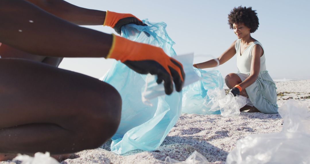 Environmental Volunteers Collecting Trash on Beach - Free Images, Stock Photos and Pictures on Pikwizard.com