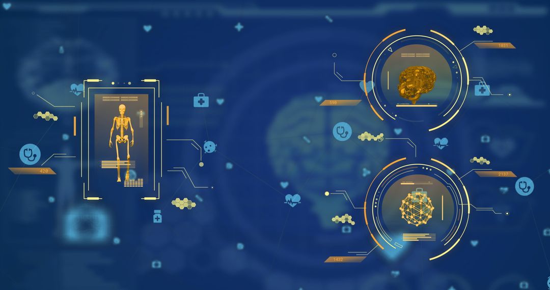 Digital Interface Displaying Brain and Body Scientific Data