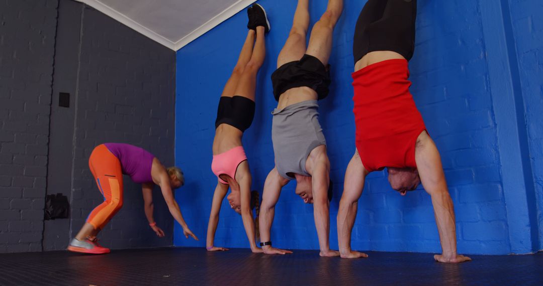 Fitness Enthusiasts Practicing Handstands Against Blue Wall in Gym - Free Images, Stock Photos and Pictures on Pikwizard.com