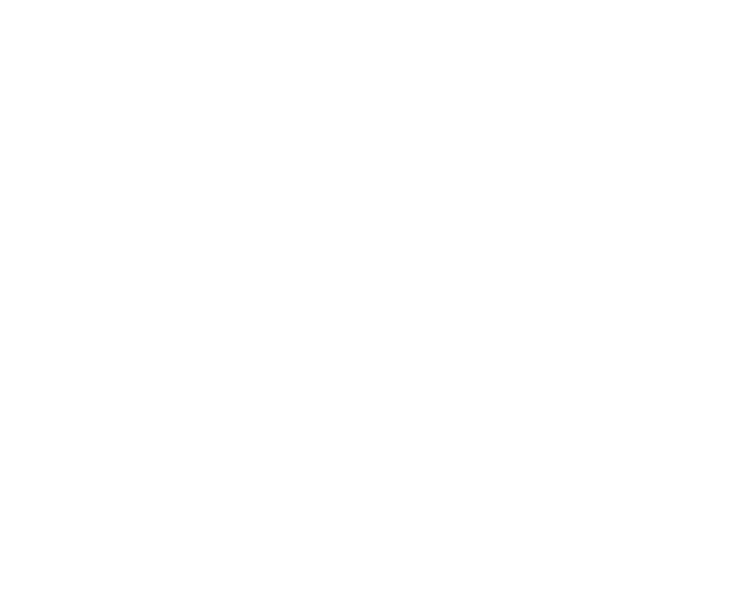 Festive Merry Christmas Text with Evergreen Decor on Transparent Background