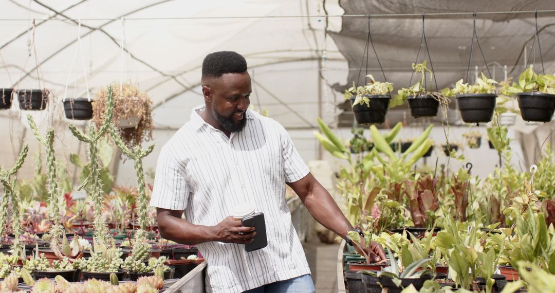 Man Exploring Plant Nursery with Succulents and Cacti