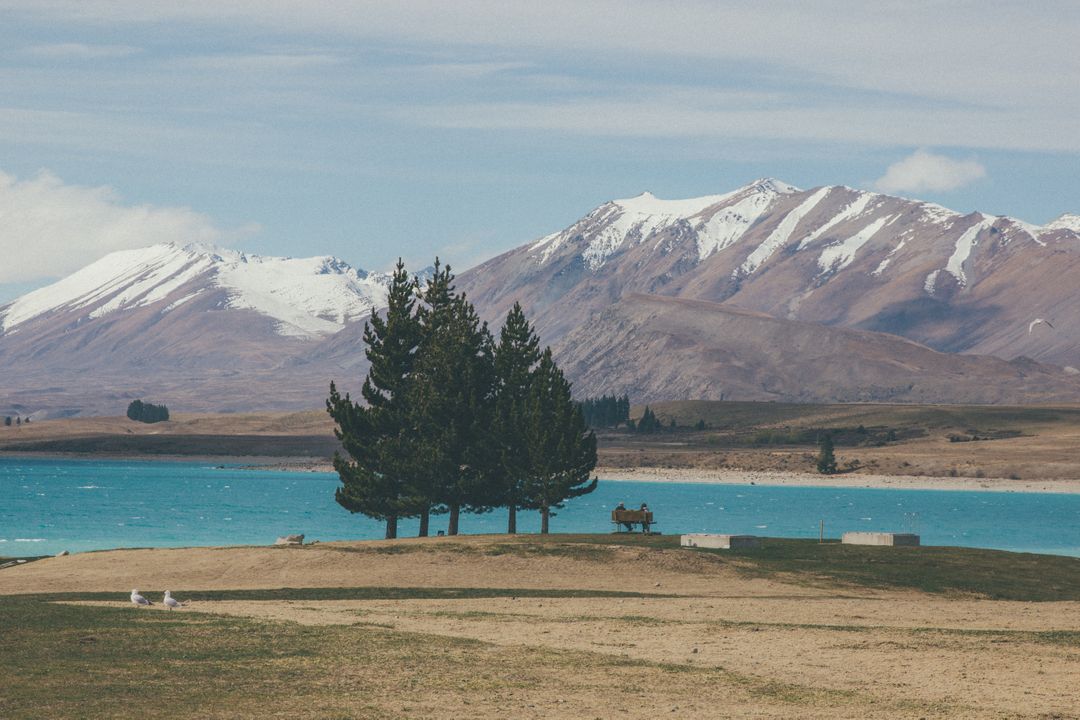 Serene Lake Scene with Snow-Capped Mountains and Pine Trees - Free Images, Stock Photos and Pictures on Pikwizard.com