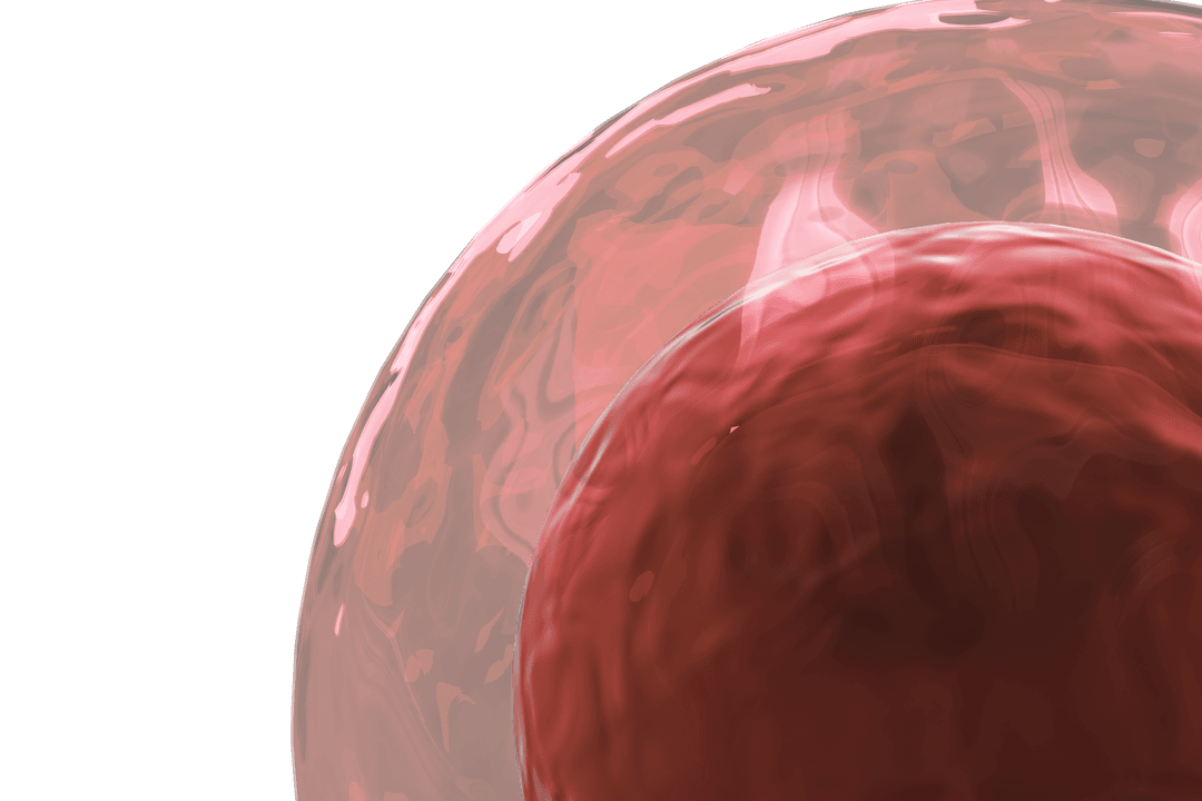 Transparent Red Liquid Circle with Abstract Design