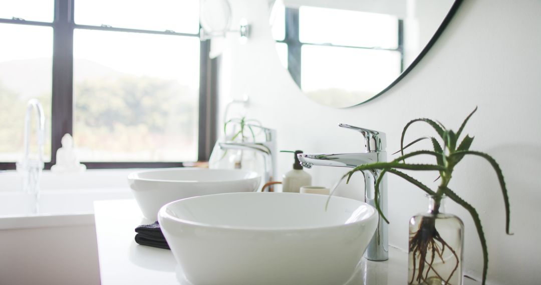 Minimalist Bathroom with Sinks and Indoor Plants in Natural Light - Free Images, Stock Photos and Pictures on Pikwizard.com