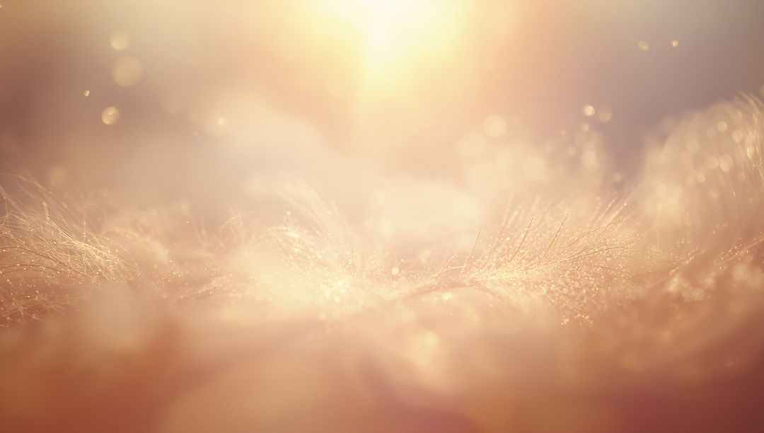 Sunlit plush fibers with sparkling dew macro bokeh and warm golden glow in peach cream tones