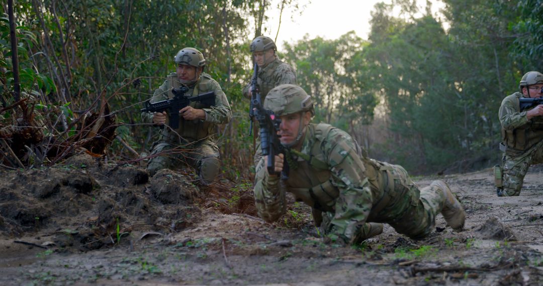 Military Soldiers Training in Jungle Warfare Scenario - Free Images, Stock Photos and Pictures on Pikwizard.com