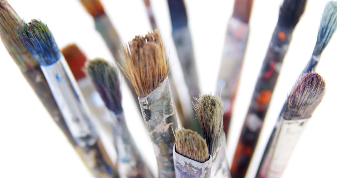 Close-Up of Assorted Used Paintbrushes with Various Bristle Types - Free Images, Stock Photos and Pictures on Pikwizard.com