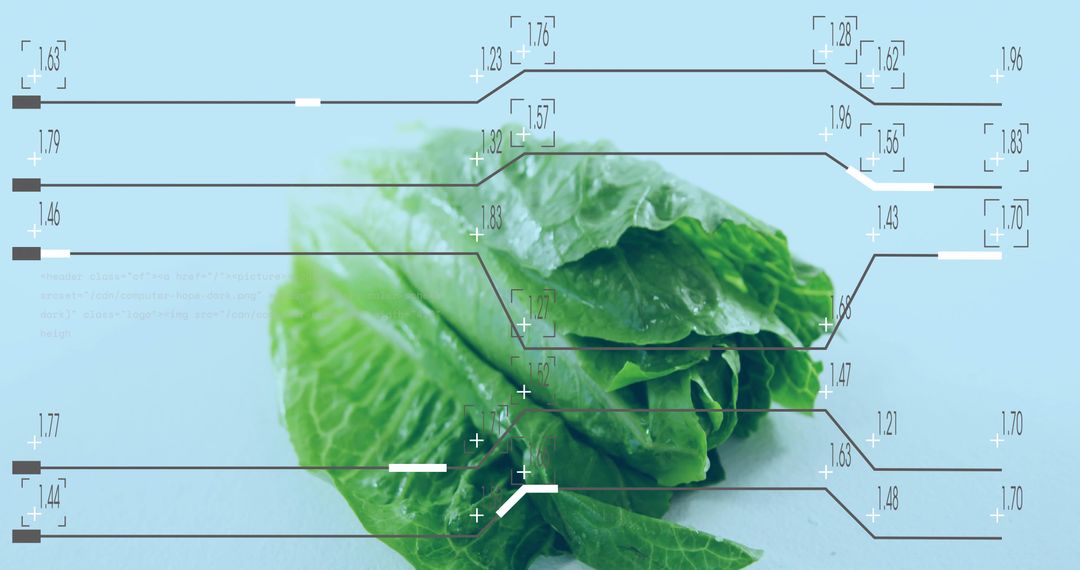 Romaine Lettuce Leaves Showing HUD Overlays, Moisture Droplets and Leaf Texture Analytics