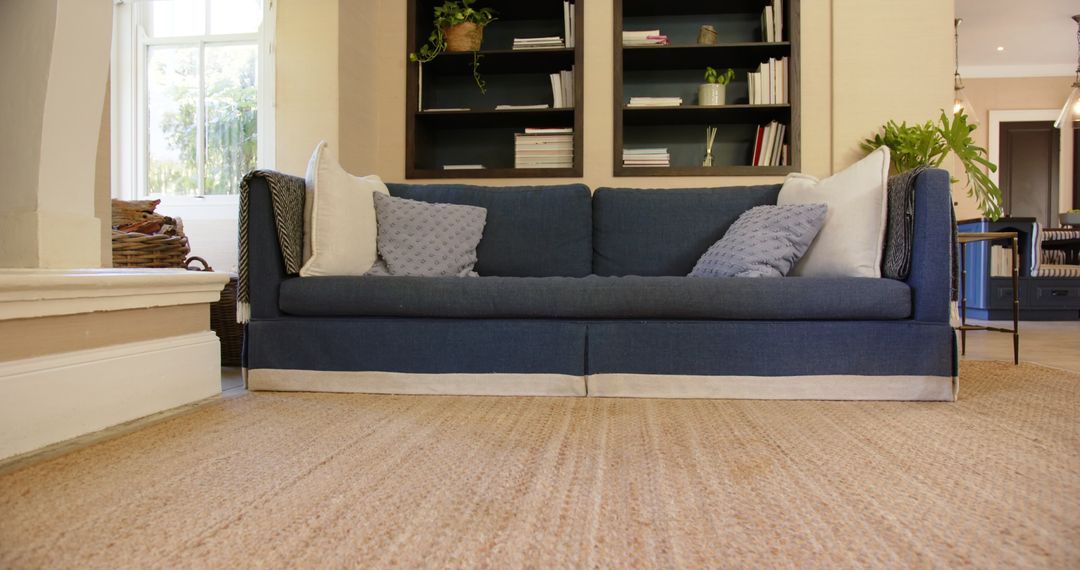 Cozy Living Room with Blue Sofa and Bookshelf