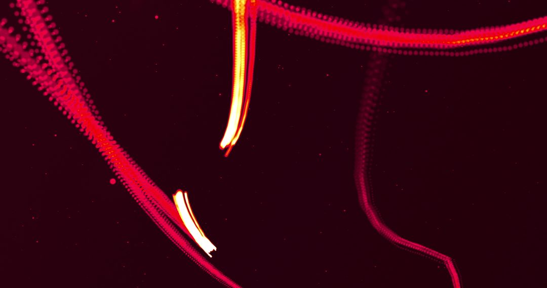 Glowing Red Lines in Motion on Black Background