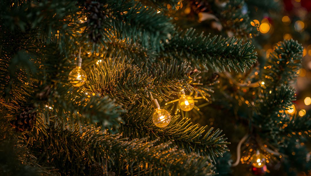 Warm Globe Lights Glowing on Evergreen Branch with Pinecone, Needles and Cozy Bokeh