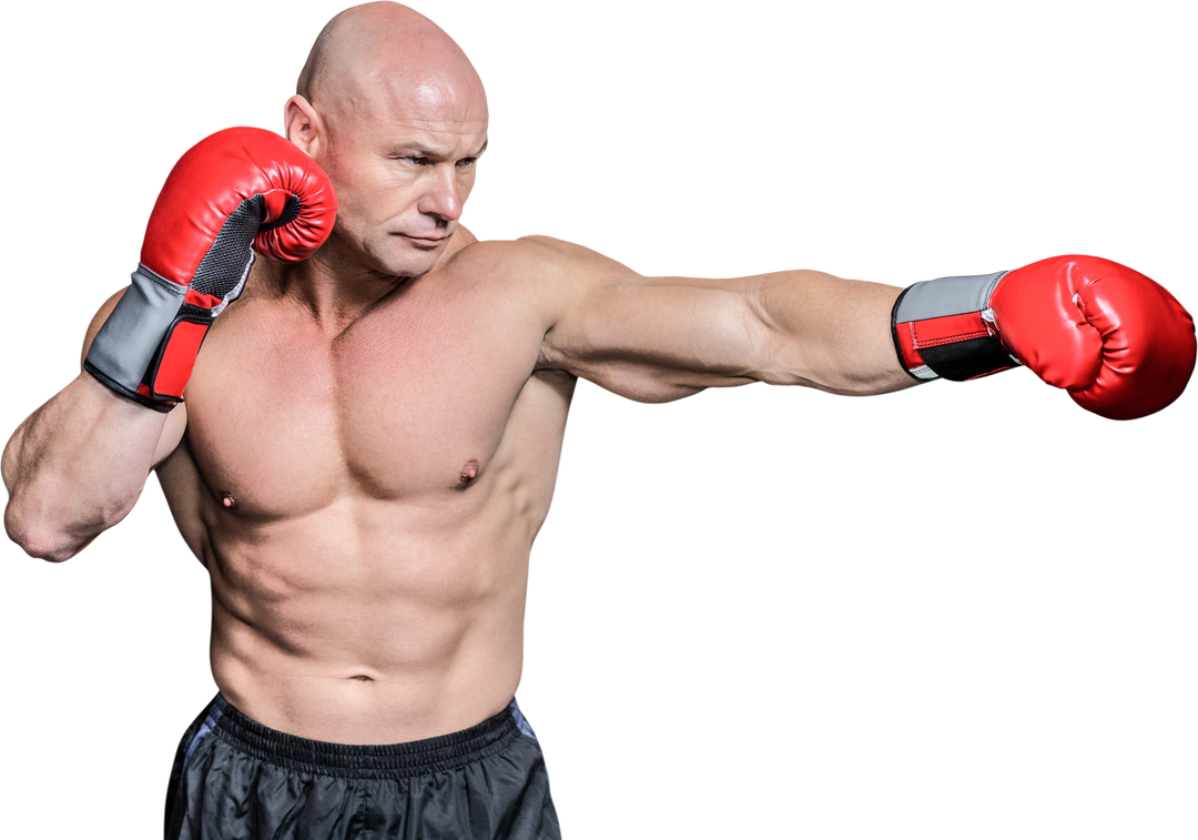 Bald Strong Boxer In Fighting Stance With Red Boxing Gloves On Transparent Background - Download Free Stock Images Pikwizard.com