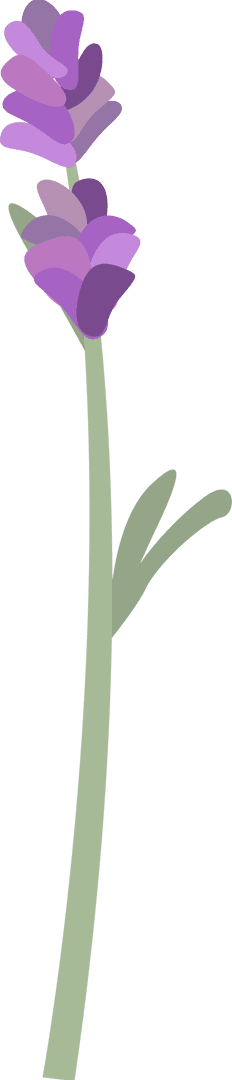 Transparent Lavender Sprig with Minimalistic Design and Pale Stem