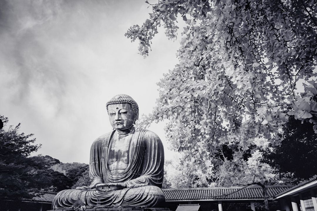 Giant Buddha Statue Under Tree in Serene Black and White Landscape - Free Images, Stock Photos and Pictures on Pikwizard.com