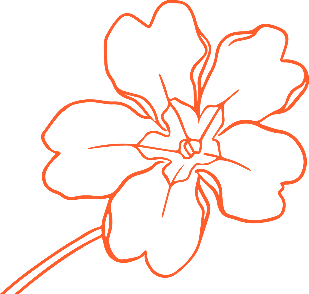 Orange Floral Line Art on Transparent Background Minimalist Design