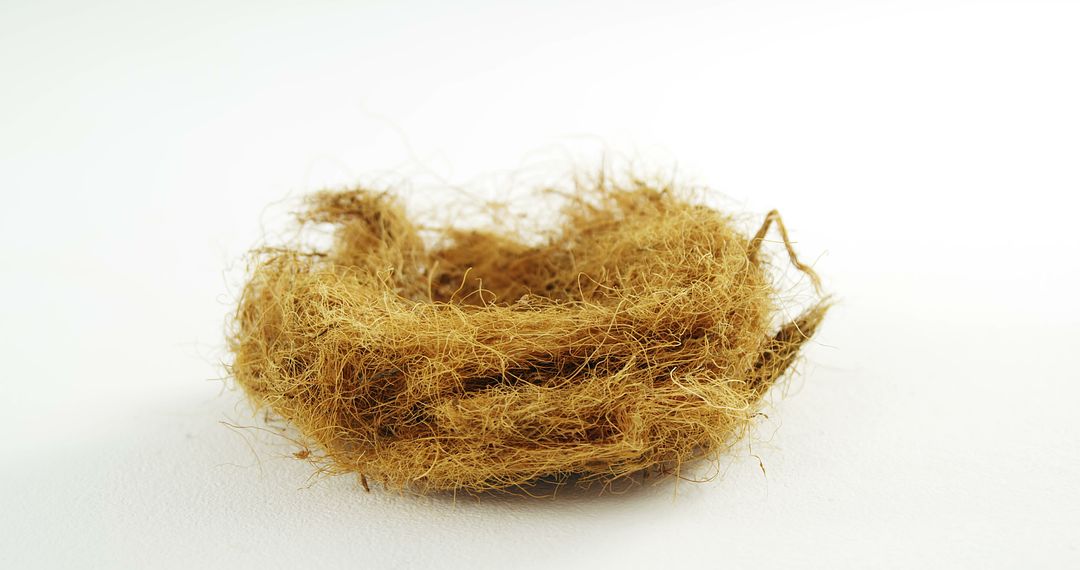 Empty Bird Nest with Straw Detailing on White Background - Free Images, Stock Photos and Pictures on Pikwizard.com