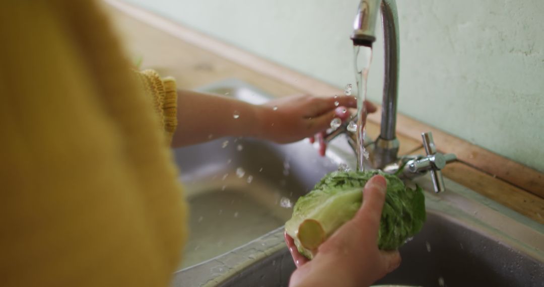 Person Washing Fresh Lettuce in Kitchen Sink - Free Images, Stock Photos and Pictures on Pikwizard.com