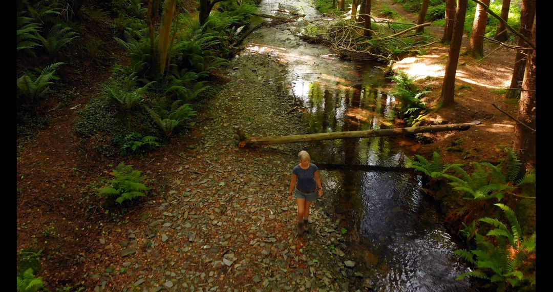 Woman Walking Along Forest Stream in Tranquil Woodland - Free Images, Stock Photos and Pictures on Pikwizard.com