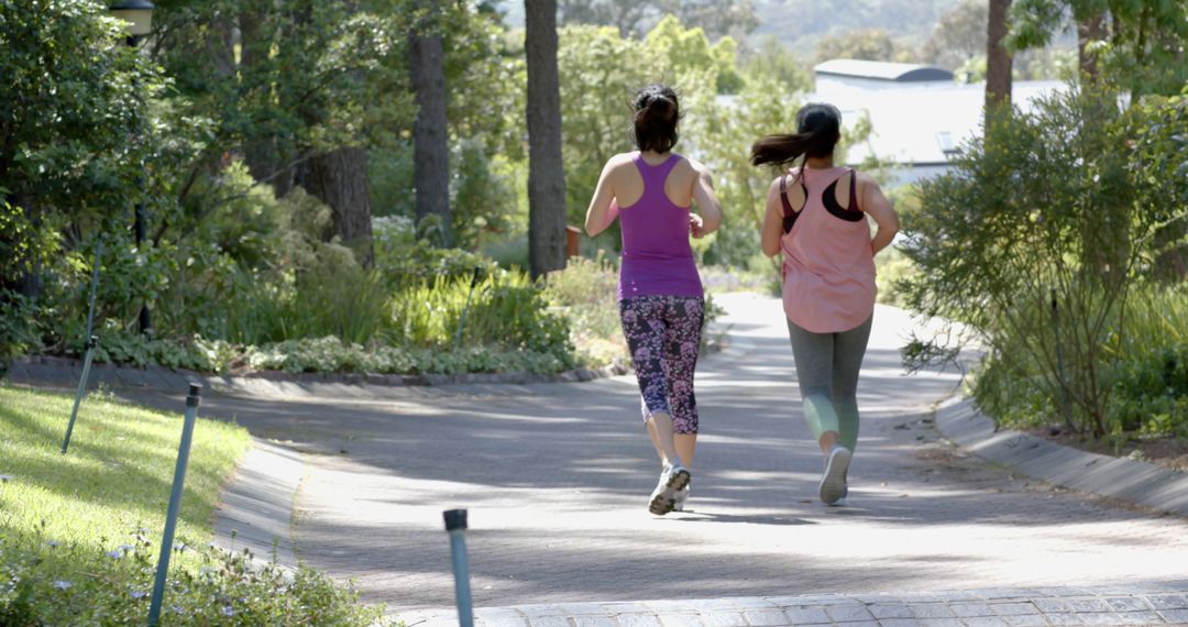 Women Jogging on Sunny Path in Park - Free Images, Stock Photos and Pictures on Pikwizard.com