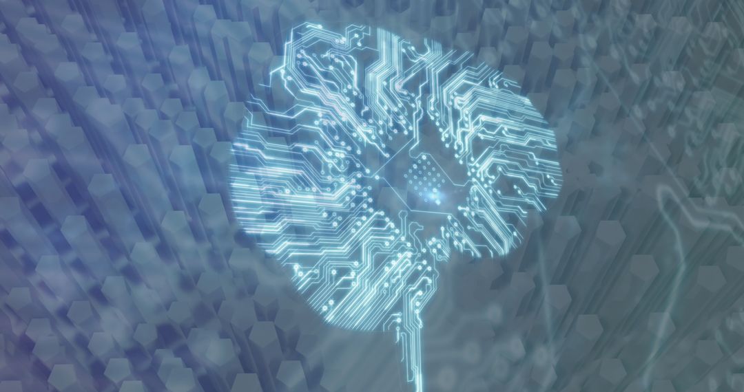 Digital Brain Circuitry with Networking Connections
