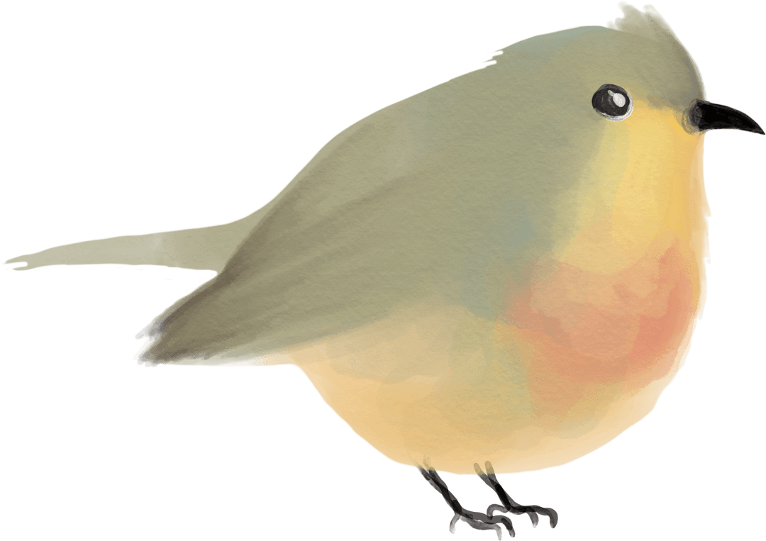 Transparent Watercolor Bird Illustration Perching on Branch