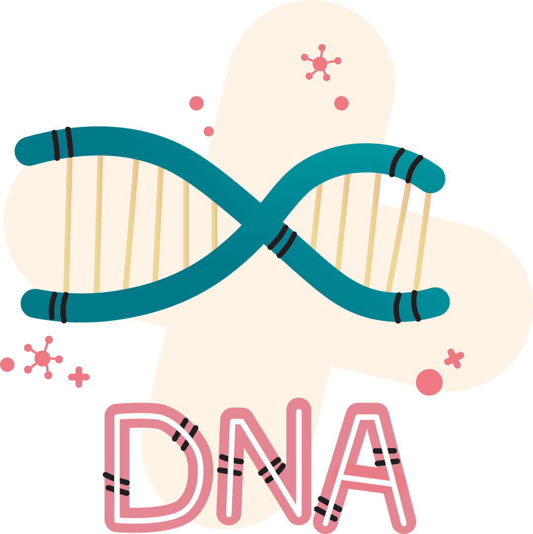 Colorful DNA Strand Illustration on Transparent Background