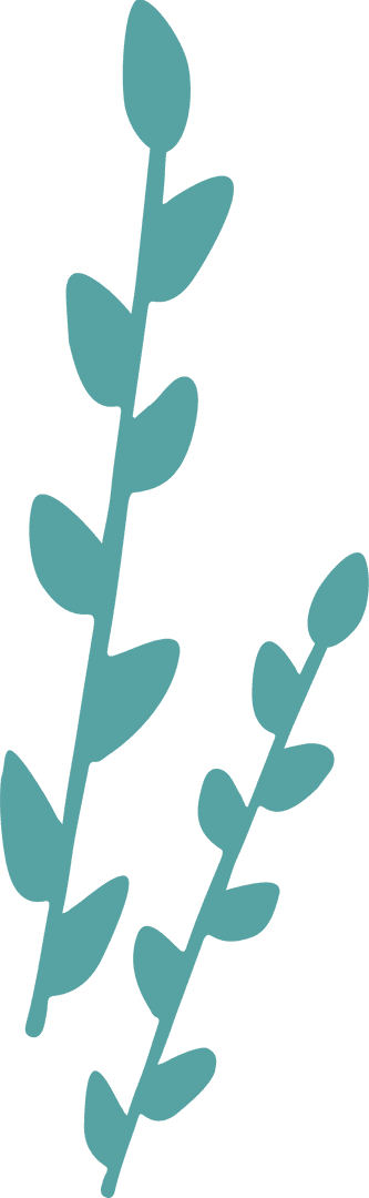 Minimalist Teal Plant Stems with Transparent Background for Organic Designs