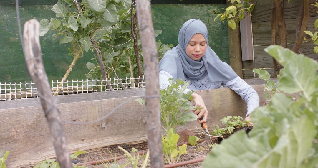 Young Muslim Woman Gardening in Raised Bed - Free Images, Stock Photos and Pictures on Pikwizard.com
